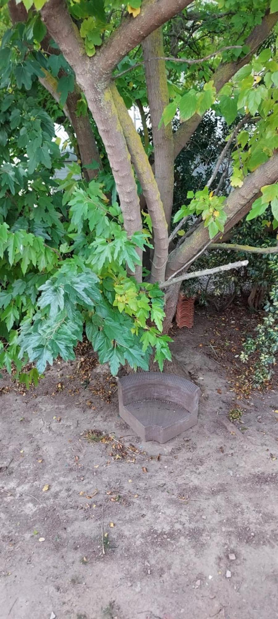 Apartment Climatise Pour 6 Personnes, Draps Et Serviettes Non Fournis Air-conditioned For 6 People, Sheets And Towels Not Provided Con Aire Acondicionado 6 Personas, Sabanas Y Toallas No Incluidas